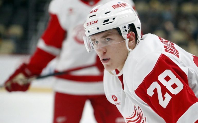 Oct 1, 2024; Pittsburgh, Pennsylvania, USA;  Detroit Red Wings right wing Michael Brandsegg-Nygrd (28) looks on at the face-off circle against the Pittsburgh Penguins during the second period at PPG Paints Arena. Mandatory Credit: Charles LeClaire-Imagn Images